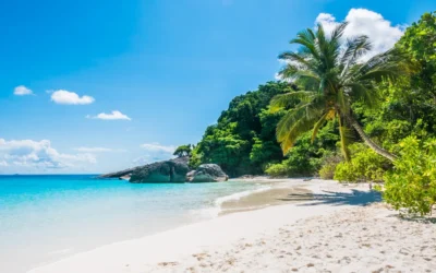 Hawaii-Vibes – Warum der tropische Look nie aus der Mode kommt